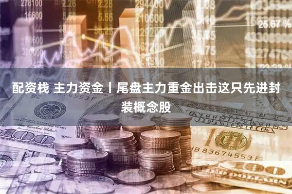 配资栈 主力资金丨尾盘主力重金出击这只先进封装概念股